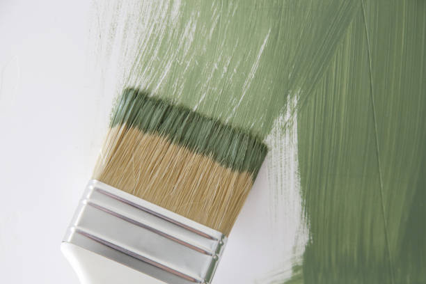 Dunkirk, NY Mold Removal Company