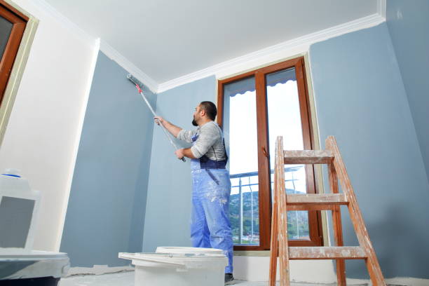Best Mold Documentation for Insurance Claims  in Dunkirk, NY