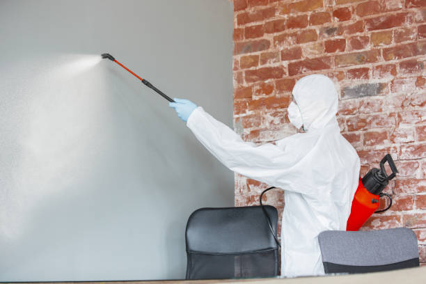 Dehumidification Services in Dunkirk, NY