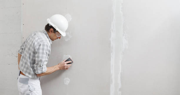 Best Crawl Space Mold Remediation  in Dunkirk, NY