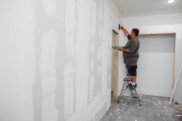 Best Real Estate Mold Inspection  in Dunkirk, NY