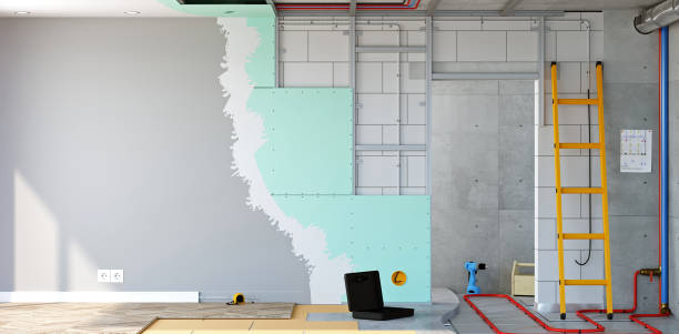 Best Black Mold Removal  in Dunkirk, NY