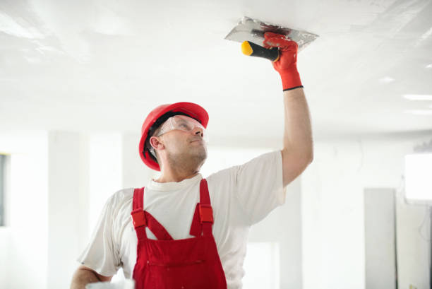 Best Water Damage & Mold Remediation  in Dunkirk, NY