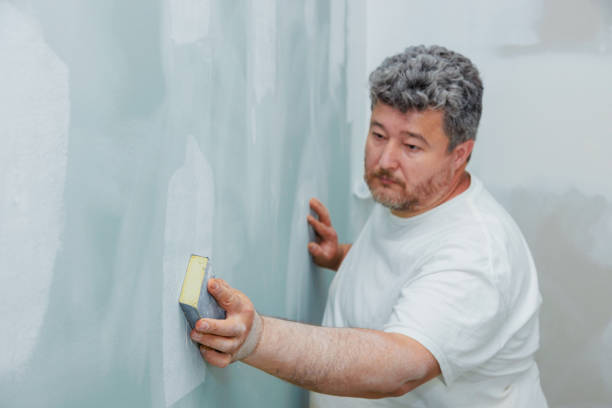 Best Mold Prevention Services  in Dunkirk, NY